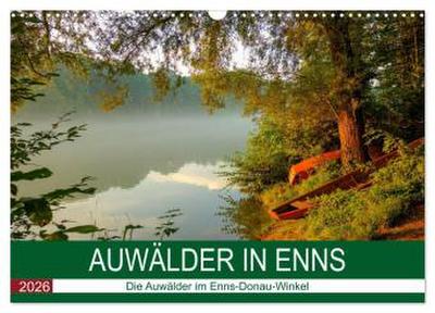 Auwälder bei Enns (Wandkalender 2026 DIN A3 quer), CALVENDO Monatskalender