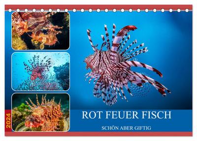 Rot Feuer Fisch (Tischkalender 2024 DIN A5 quer), CALVENDO Monatskalender