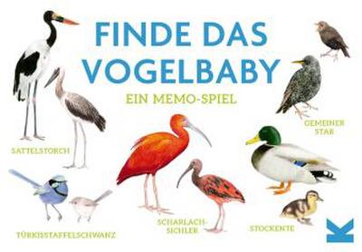 Finde das Vogelbaby