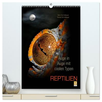 Auge in Auge mit coolen Typen - REPTILIEN (hochwertiger Premium Wandkalender 2026 DIN A2 hoch), Kunstdruck in Hochglanz