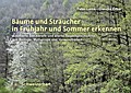 Bäume und Sträucher in Frühjahr und Sommer erkenne