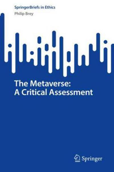 The Metaverse: A Critical Assessment