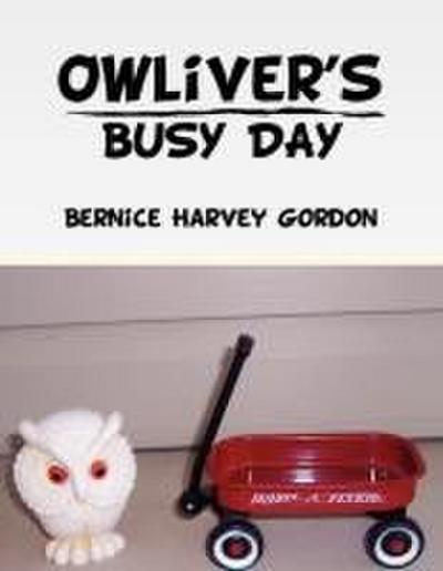 Owliver’s Busy Day