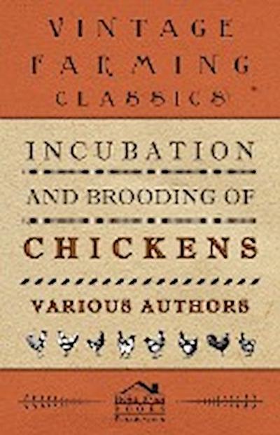 Incubation and Brooding of Chickens