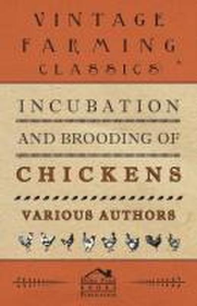 Incubation and Brooding of Chickens