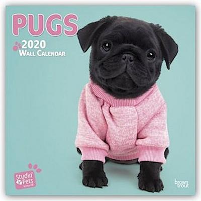 Pugs 2020