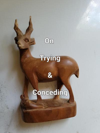 On Trying & Conceding (Poetry Volume, #12)