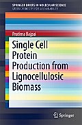 Single Cell Protein Production from Lignocellulosic Biomass