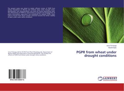 PGPR from wheat under drought conditions