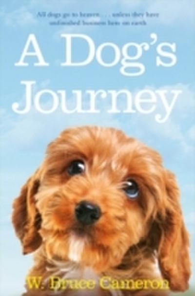 Dog’s Journey
