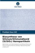 Biosynthese von Silizium/Siliziumdioxid (Si/SiO) Nanopartikeln