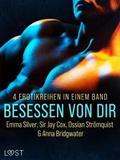 Besessen von dir: 4 Erotikreihen in einem Band