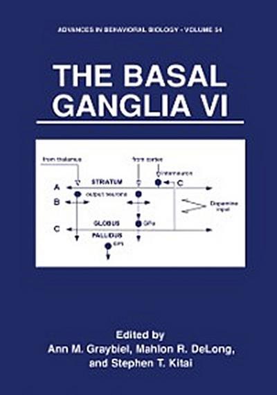 Basal Ganglia VI