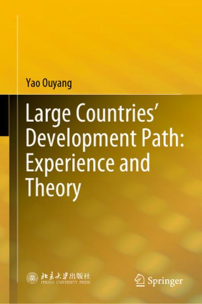 Large Countries’ Development Path: Experience and Theory