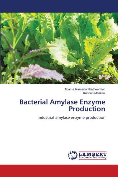 Bacterial Amylase Enzyme Production