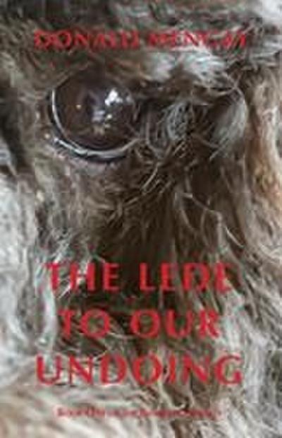 The Lede To Our Undoing