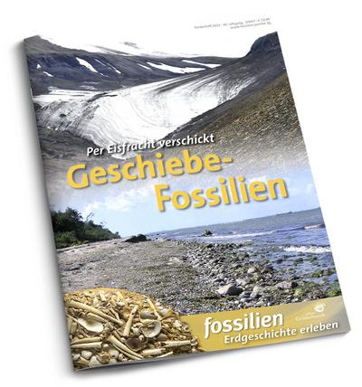 Geschiebe-Fossilien