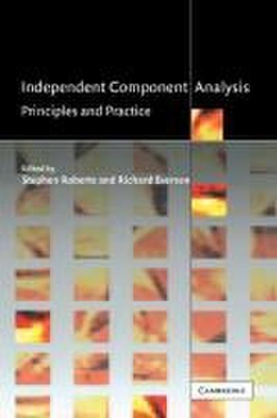 Independent Component Analysis