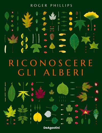 Riconoscere gli alberi