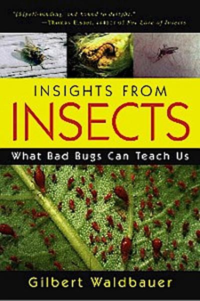 Insights From Insects