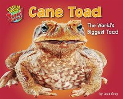 Cane Toad