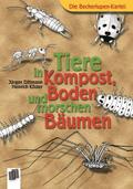Tiere in Kompost, Boden und morschen Bäumen