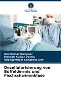 Dezellularisierung von Büffeldermis und Fischschwimmblase