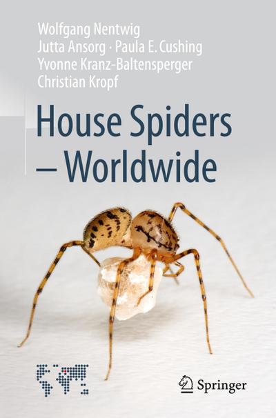 House Spiders - Worldwide