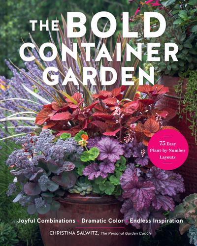 The Bold Container Garden