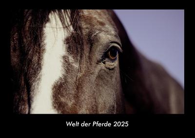 Welt der Pferde 2025 Fotokalender DIN A3