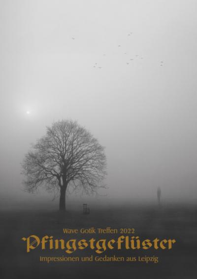 Wave Gotik Treffen 2022: Pfingstgeflüster