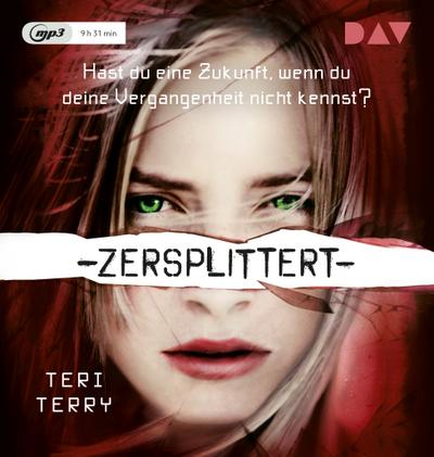 Terry, T: Zersplittert 2/MP3-CD