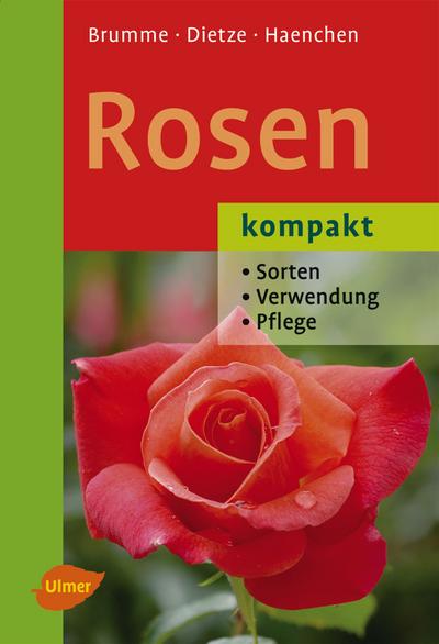 Rosen kompakt: Sorten - Verwendung - Pflege