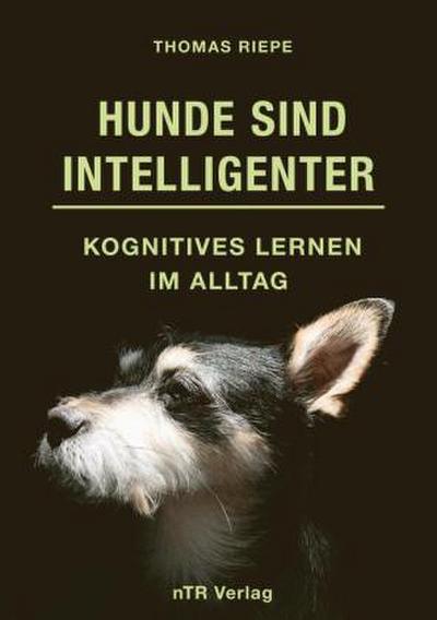 Hunde sind Intelligenter