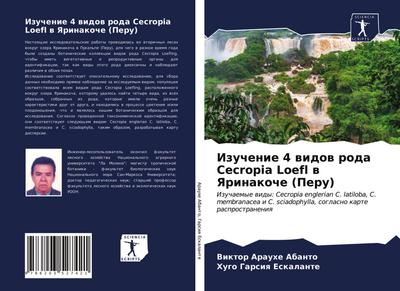 Izuchenie 4 widow roda Cecropia Loefl w Yarinakoche (Peru)