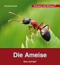Die Ameise