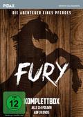 Fury - Die Abenteuer eines Pferdes