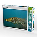 Stattlicher Räuber (Puzzle)
