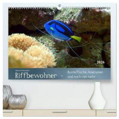 Riffbewohner - Bunte Fische, Anemonen und noch viel mehr (hochwertiger Premium Wandkalender 2026 DIN A2 quer), Kunstdruck in Hochglanz