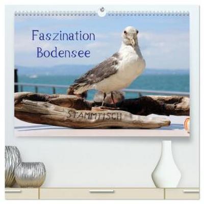 Faszination Bodensee (hochwertiger Premium Wandkalender 2026 DIN A2 quer), Kunstdruck in Hochglanz