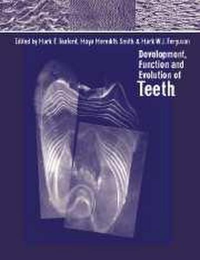 Development, Function and Evolution of Teeth