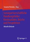 Sozialpartnerschaftliche Handlungsfelder: Kontinui