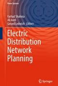 Electric Distribution Network Planning