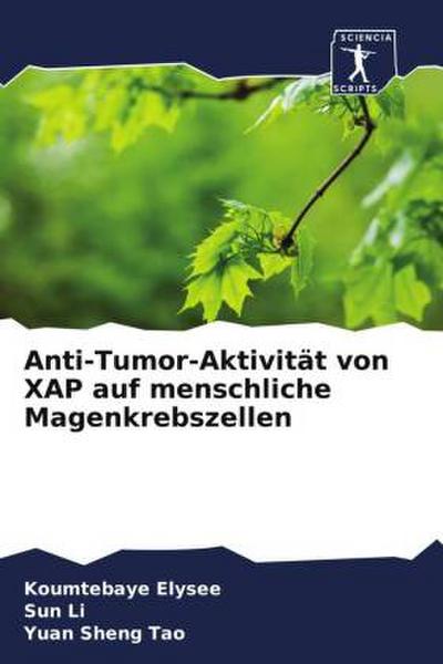 Anti-Tumor-Aktivität von XAP auf menschliche Magenkrebszellen