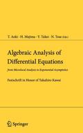 Algebraic Analysis of Differential Equations
