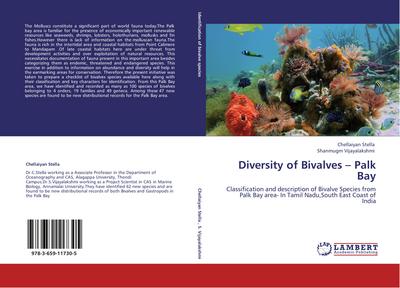 Diversity of Bivalves - Palk Bay
