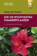 Was ist das? - Die 120 wichtigsten Zimmerpflanzen