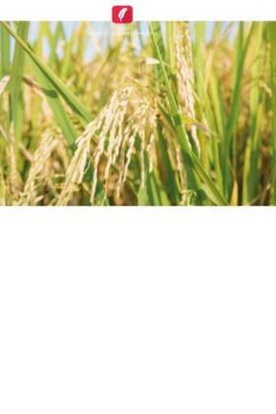 Impacto dos serviços de aconselhamento da Agromet nas decisões operacionais dos agricultores