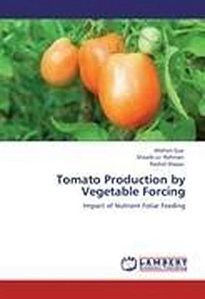 Tomato Production by Vegetable Forcing