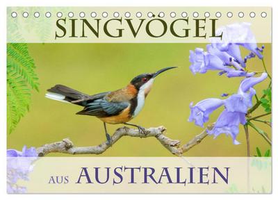 Singvögel aus Australien (Tischkalender 2026 DIN A5 quer), CALVENDO Monatskalender